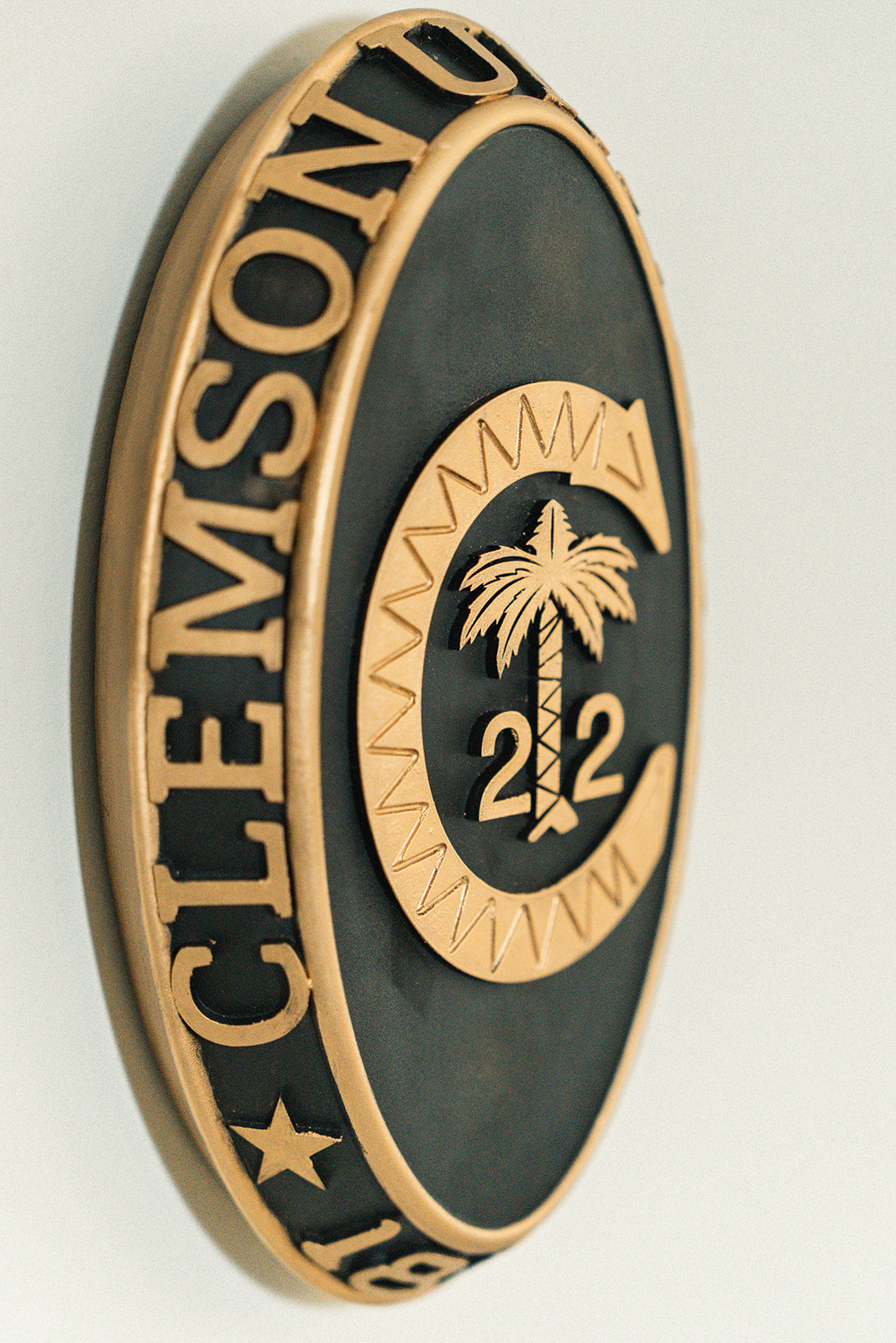 Women's Clemson Class Ring Decorative Plaque