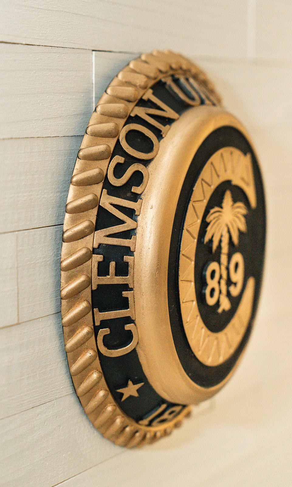 Men's Clemson Class Ring Decorative Plaque