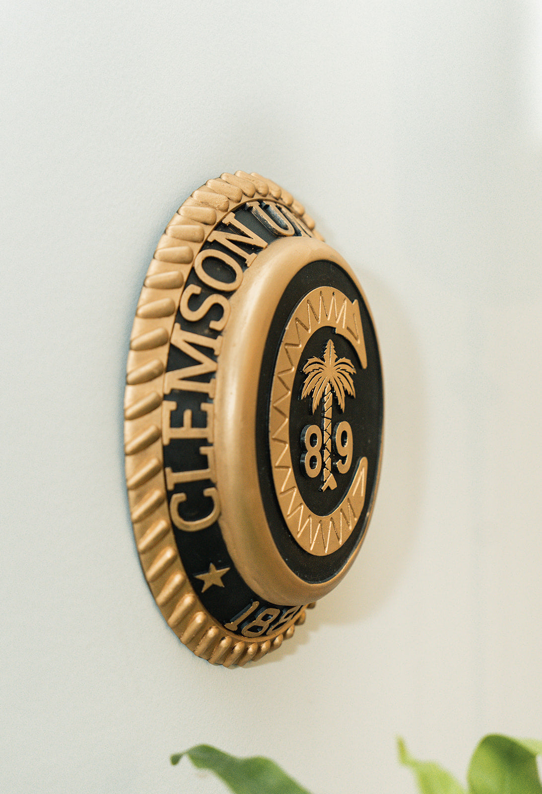 Men's Clemson Class Ring Decorative Plaque